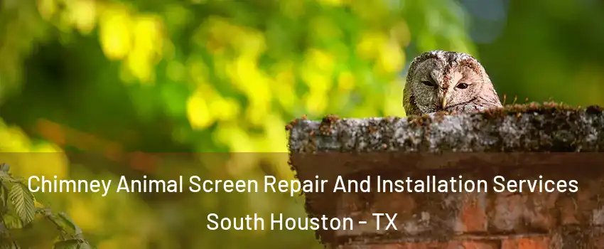  Chimney Animal Screen Repair And Installation Services South Houston - TX