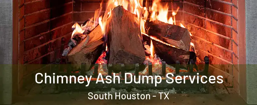  Chimney Ash Dump Services South Houston - TX