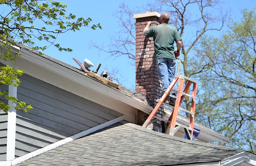 Chimney & Fireplace Inspections Services in South Houston, TX