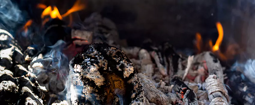 Creosote Removal Experts in South Houston, TX