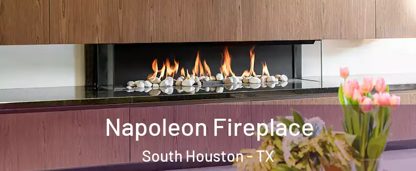  Napoleon Fireplace South Houston - TX