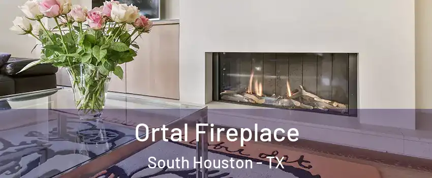  Ortal Fireplace South Houston - TX